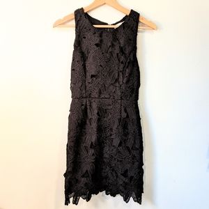 ASTR Little Black Dress